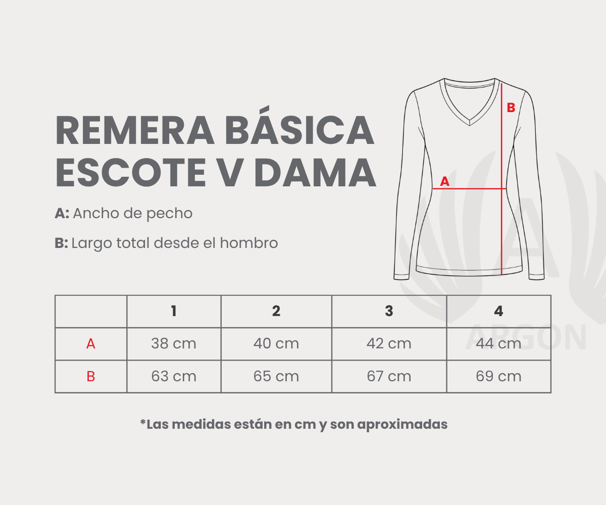 Remera Escote V Manga Larga Mujer